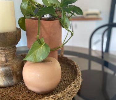 Halfway Creek Apartment | Halfway Creek Studio