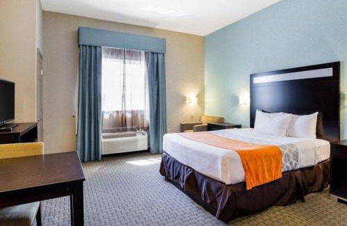 Port Arthur Hotel | Hallmarc Studios