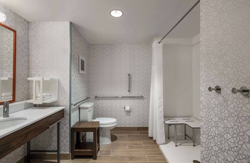 Holly Hotel | Hampton Inn Austin East Side 5th Street