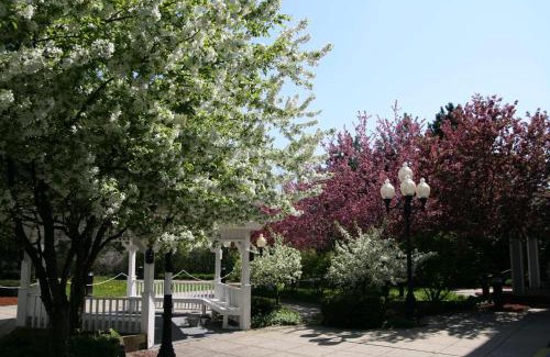 Burlington Hotel | Hampton Inn Burlington - Colchester