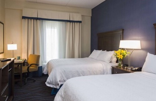 Ottawa Division Hotel | Hampton Inn by Hilton Ottawa Airport, ON, CN