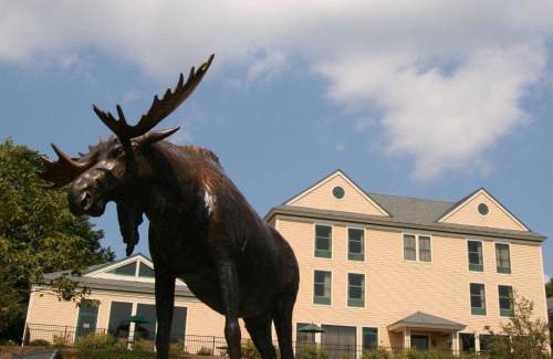 Freeport Hotel | Hampton Inn Freeport/Brunswick