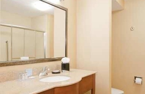 Columbia Hotel | Hampton Inn & Suites Columbia at University