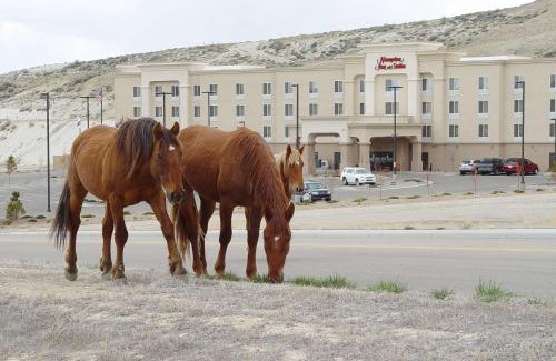 Green River Hotel | Hampton Inn & Suites Green River