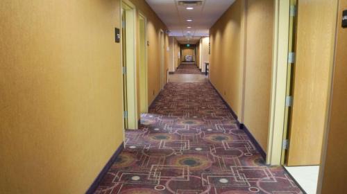 Kingman Hotel | Hampton Inn & Suites Kingman