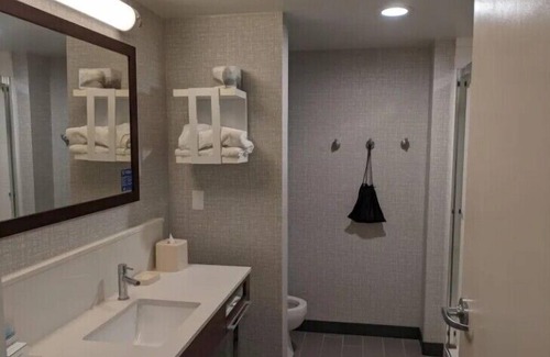 La Vista Hotel | Hampton Inn & Suites Omaha Southwest-La Vista