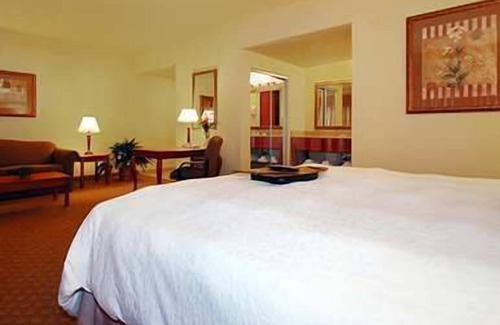 Pharr Hotel | Hampton Inn & Suites Pharr