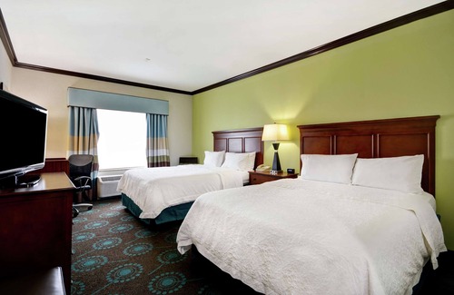 North San Antonio - SAT Hotel | Hampton Inn & Suites San Antonio/Northeast I-35
