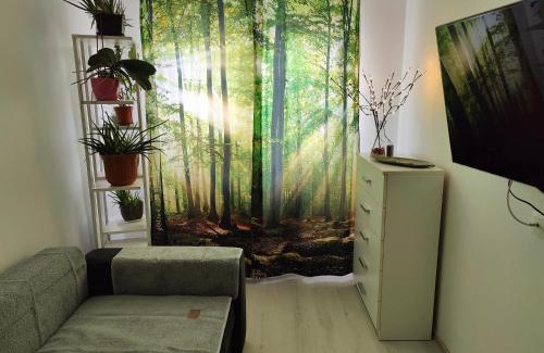 Tirgu Mures Apartment | HANA Apartament