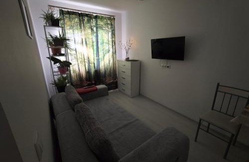 Tirgu Mures Apartment | HANA Apartament