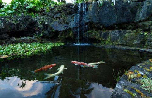 Hana Apartment | Hana Kai Maui - #201 Honokalani - oceanview 1 BR