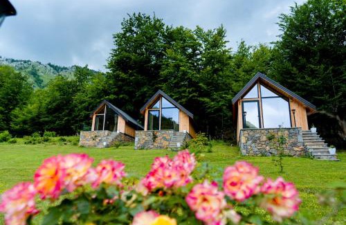 Librazhd Hotel | HANI CEPIT