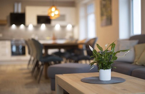 Alme Apartment | Hanses Hof vacation apartment type C