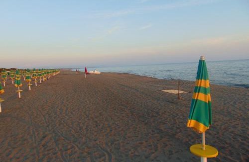 Marina di Montalto Other | Happy Camp Mobile Homes in Gitavillage California