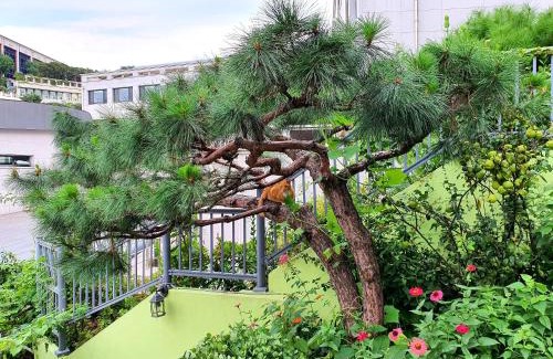 Jung-gu House | Happy Garden Guesthouse