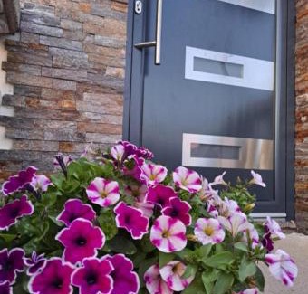 Surcin Apartment | Happy House