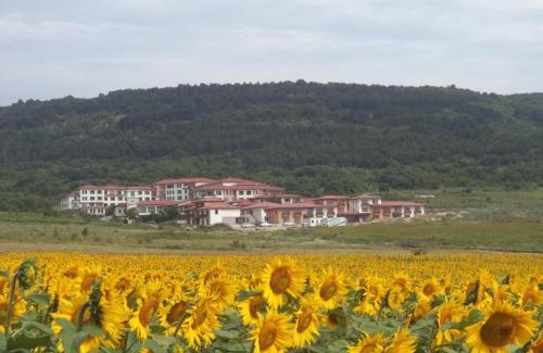 Osenovo Apartment | Harmony Hills Tomovi Apartment C44