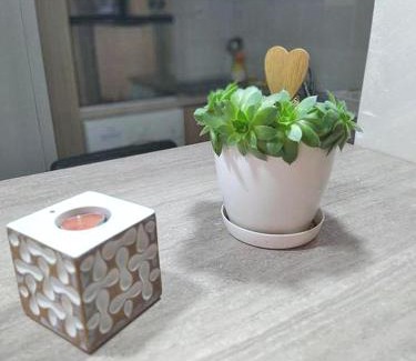 Radanovici Apartment | Harmony
