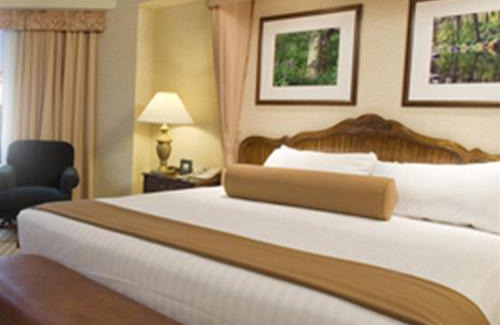 Stateline Resort | Harrah's Lake Tahoe, A Caesars Destination