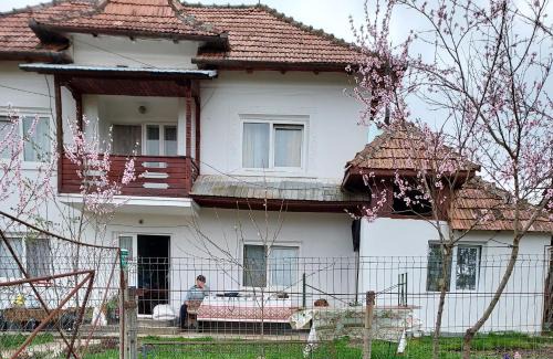 Hartiesti Other | Hartiesti county Arges