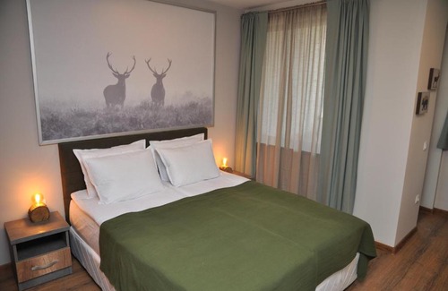 Borovets Apartment | Hashtag Studio Borovets