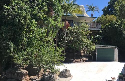 Whangarei House | Hatea Treehouse
