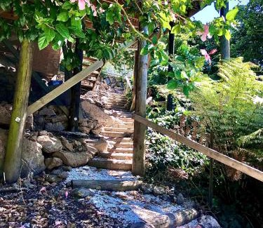 Whangarei House | Hatea Treehouse