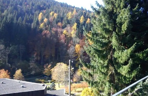 Bad Rippoldsau-Schapbach Apartment | Haus Astrid in the heart of the Black Forest, for hiking groups and families