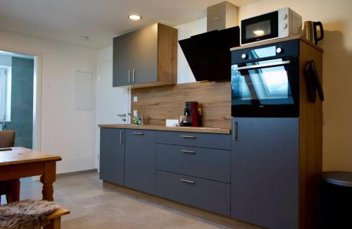 Unterallgau Apartment | Haus Allgäu Wohnung Schwabennestle