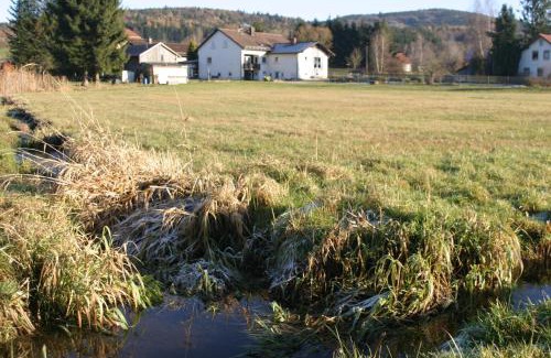 Waldmuenchen Apartment | Haus am Treffenbach