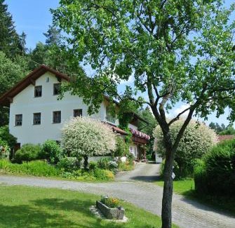 Grafenau Apartment | Haus Am Waldrand - Ferienwohnung Augustin