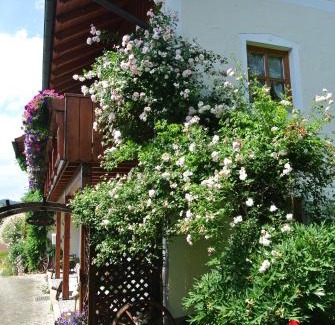 Grafenau Apartment | Haus Am Waldrand - Ferienwohnung Augustin