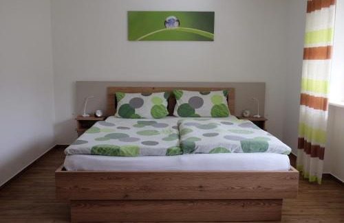 Untermunstertal Apartment | Haus Belchenherz - Münstertal