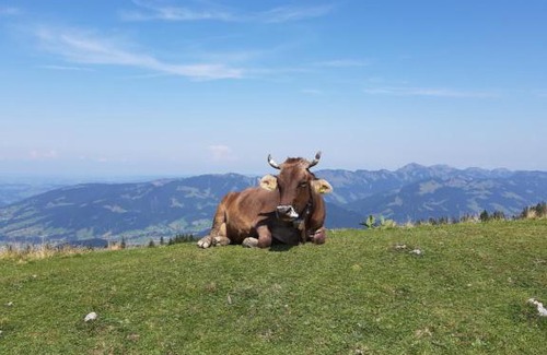 Schroecken Bed & Breakfast | Haus Berghof