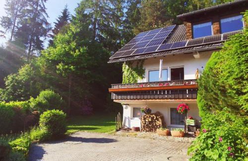 Eppenschlag Apartment | Haus-Daxberg-idyllisch-gelegen-im-Bayerischen-Wald-Ferienwohnung-mit-Zimmer-Kueche-Bad