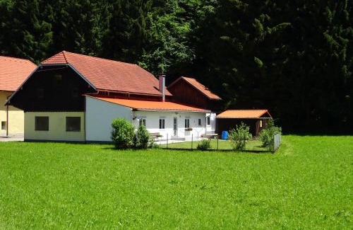 Pinsdorf House | Haus im Grünen - Gmundennähe