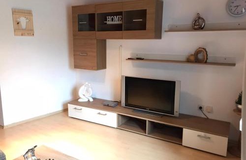 Furtwangen Apartment | Haus Levi