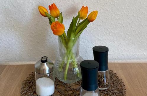 Frielendorf Apartment | Haus Mariechen 5-Sterne-DTV-Ferienwohnung mit sonnigem Frühstücksbalkon, stilvollen Spanndecken und Sauna zum Entspannen