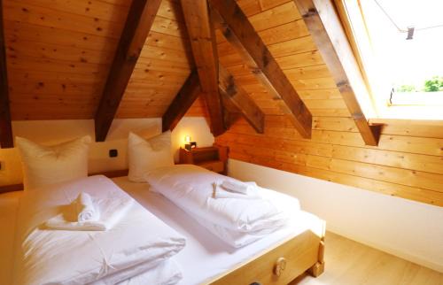 Hoechenschwand Apartment | Haus Panoramablick - Fewo Alpenblick, Höchenschwand