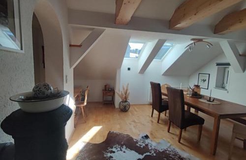 Bad Aussee Apartment | Haus Schatzl mit Gartenanteil und Bademöglichkeit im Fluss