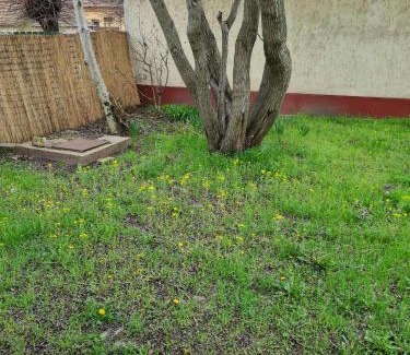 Orgovany Apartment | Haus Ursula