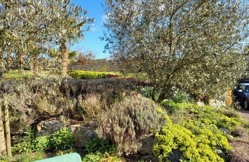 Le Rheu Bed & Breakfast | Havre de paix et jardin tropical. Chambre privée