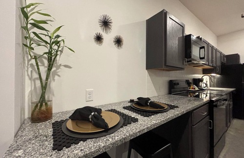 Downtown Memphis Apartment | Heart of Downtown Memphis!