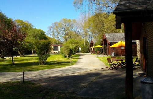 Ashford House | Heated Indoor Swimming Pool, beautiful 2 bed lodge set in woodland.