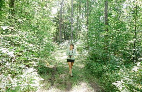 Minden Resort | Heather Lodge