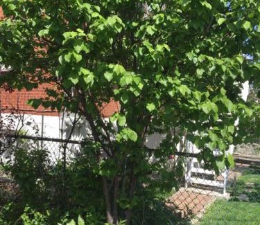 Nouveau-Rosemont Bed & Breakfast | Heaven Is A Place On Earth