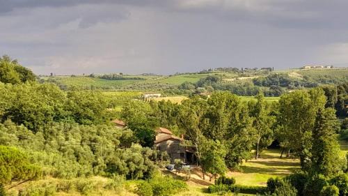 Vinci Bed & Breakfast | Helichrysum
