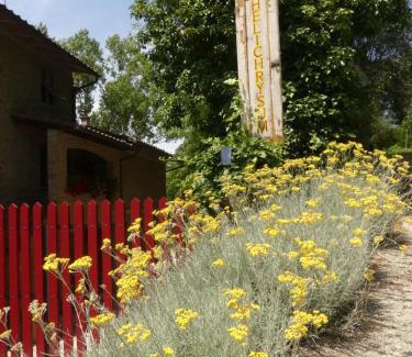 Vinci Bed & Breakfast | Helichrysum
