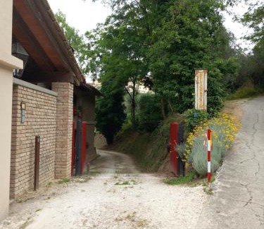 Vinci Bed & Breakfast | Helichrysum