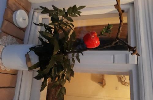 Bogacs House | Helló Bogács
